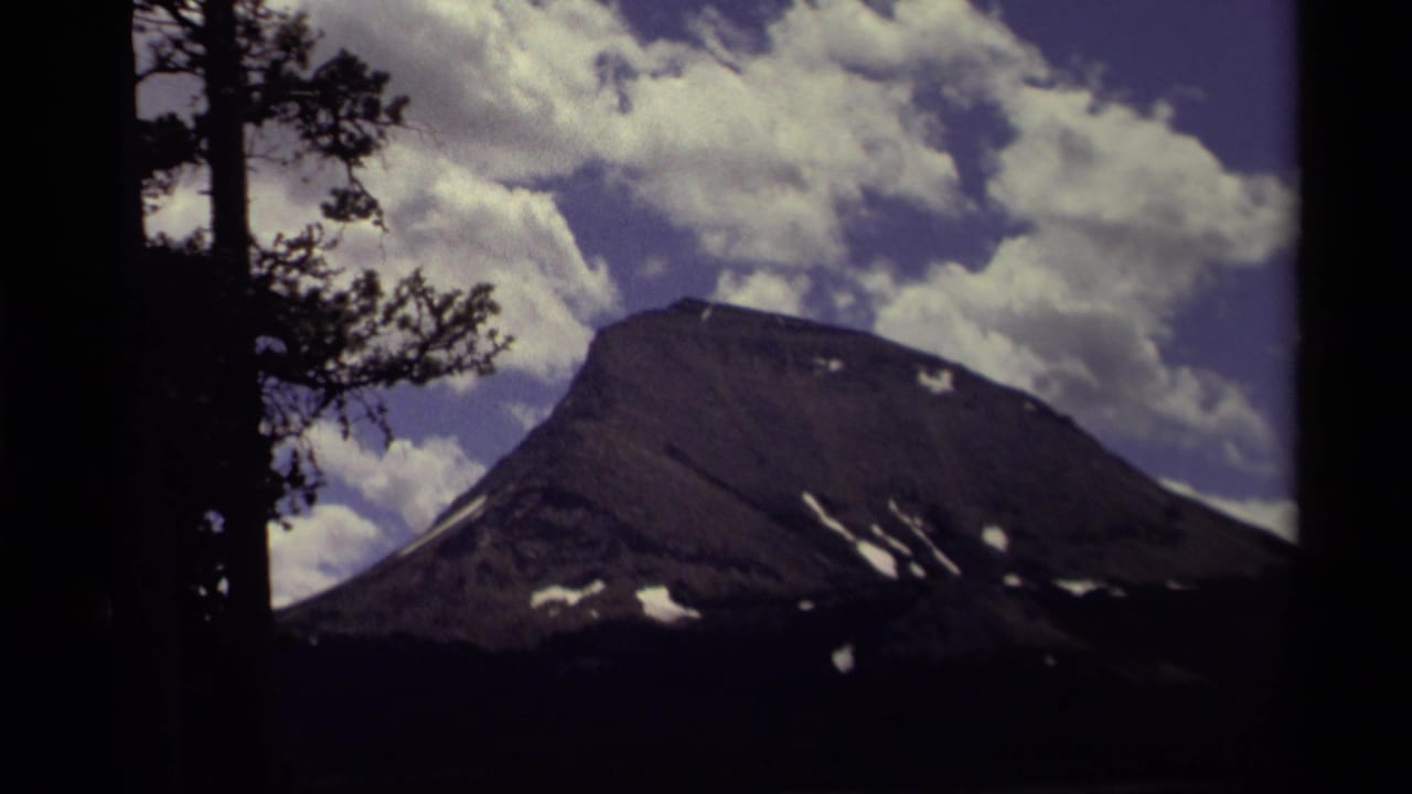 Mountain peak and clouded sky seen through dark tree trunks.