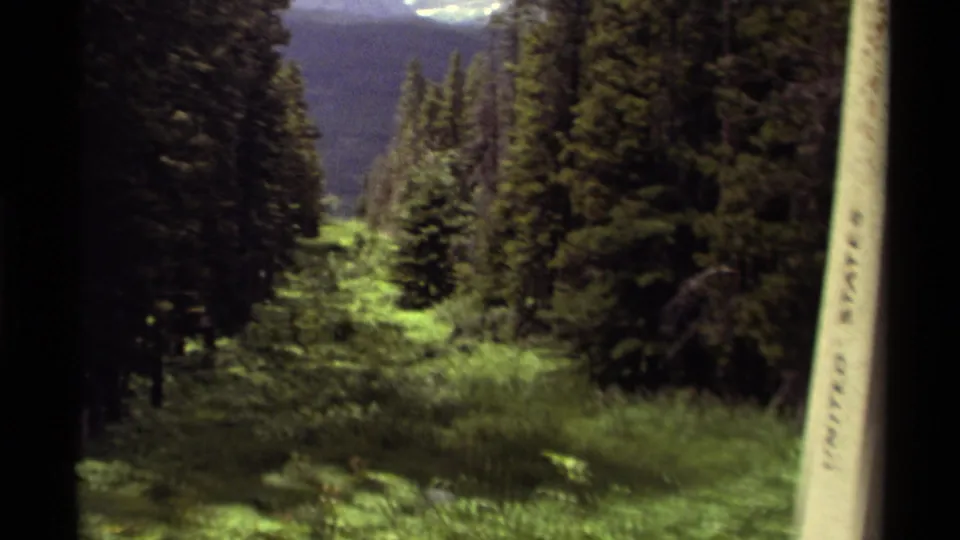 1979 Canada 8mm frame looking down a forest trail, with a partial boundary marker at the right edge and mountains beyond.