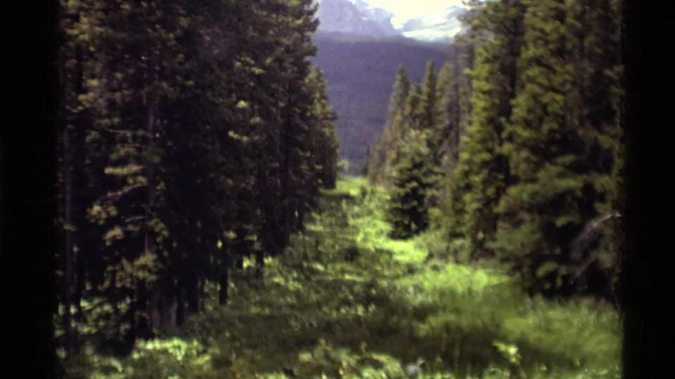 1979 Canada 8mm frame of a narrow green trail between tall evergreens, with mountain forms visible beyond the trees.