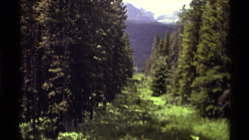 1979 Canada 8mm frame showing a grassy evergreen trail with distant snow-capped mountain peaks under a pale sky.