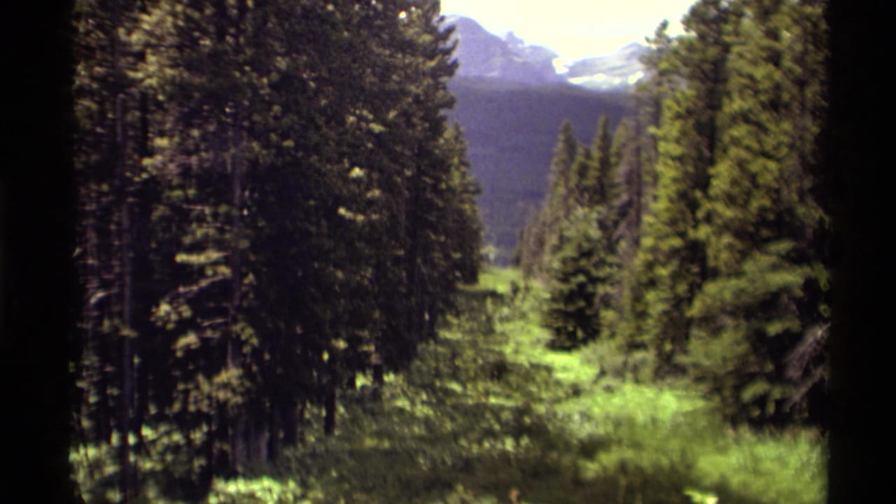 1979 8mm Canada footage showing a green valley between evergreen trees with distant snow-touched mountain peaks.