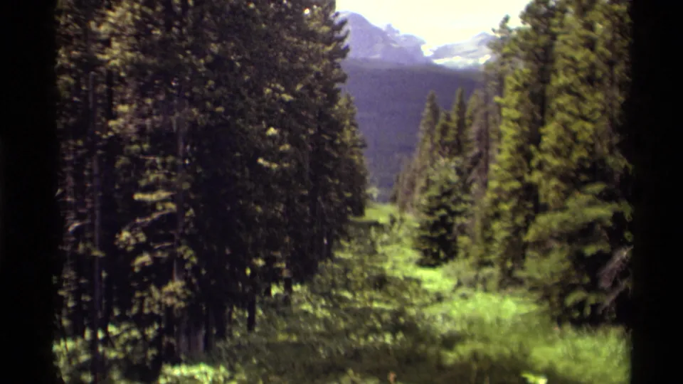 1979 8mm Canada footage showing a green valley between evergreen trees with distant snow-touched mountain peaks.