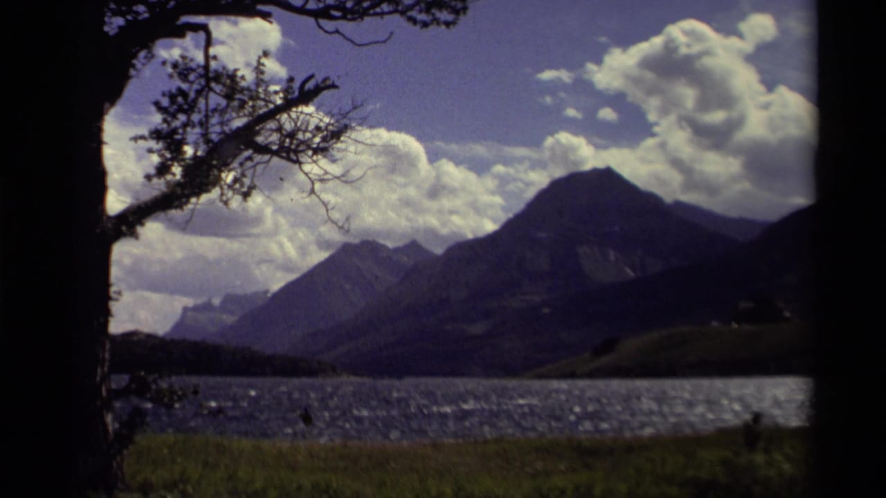 Mountain and lake landscape framed by dark tree trunks and branches under a cloudy sky.