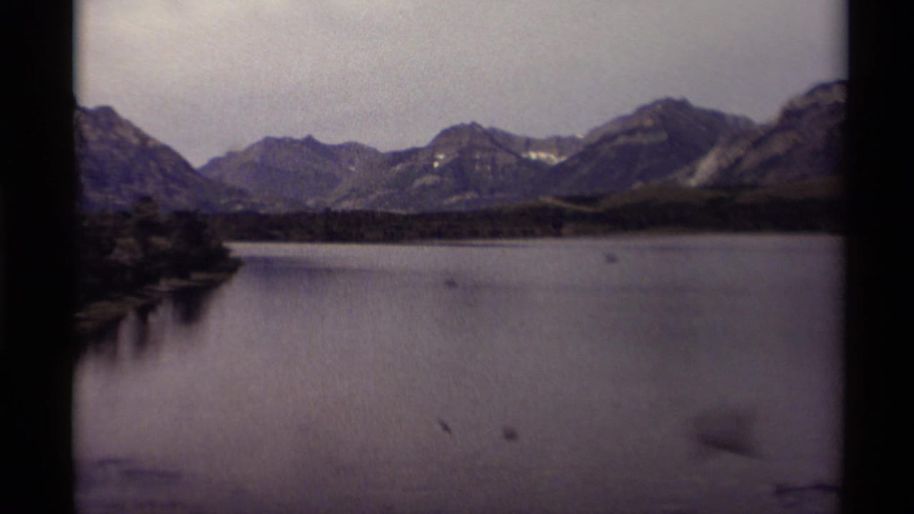 Wide lake view with mountains, wooded shoreline, and tiny birds on the water.