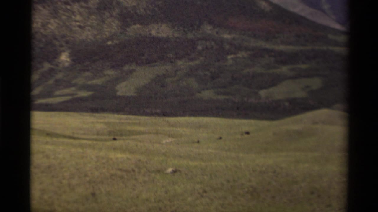1979 Canadian 8mm frame showing open grassland, distant slopes, and rugged mountains beyond a valley floor.