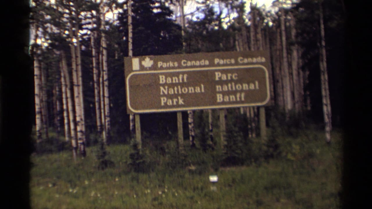 Brown Banff National Park sign beside birch trees and greenery.