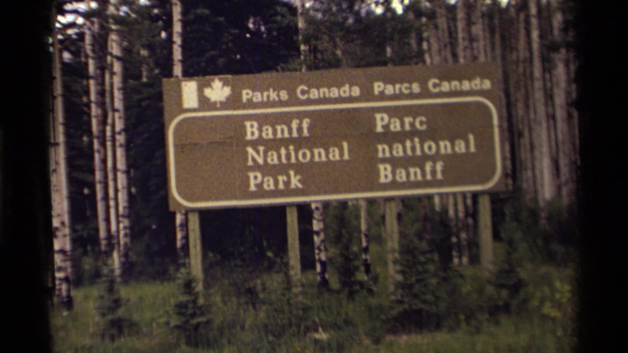 Closer view of the Banff National Park sign in a birch forest.