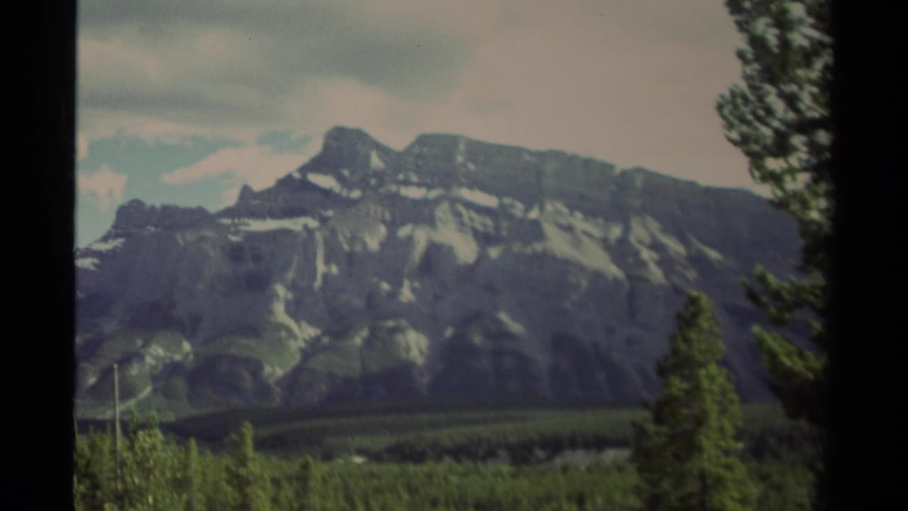 Mountain ridge with snow patches above a dark evergreen forest.