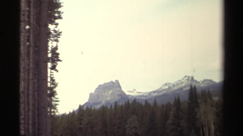 1979 Canadian 8mm frame looking through tall trees toward a rugged mountain and forested valley under pale sky.