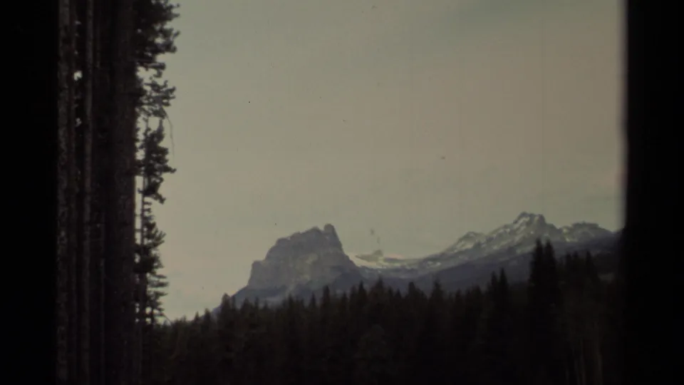 1979 Canadian wilderness view with dense evergreens, a distant rugged peak, and muted 8mm exposure under gray sky.