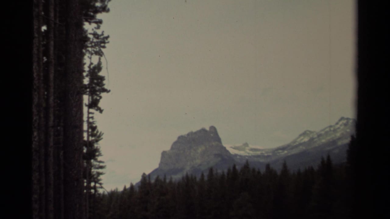Rocky mountain peak and snow bands beyond spruce trees under a muted sky.