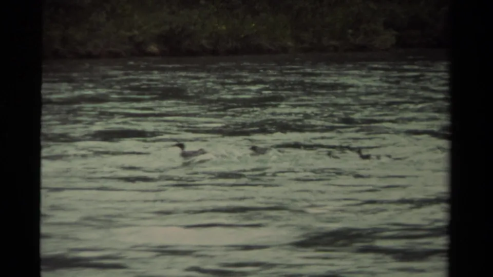 1979 Canadian 8mm frame showing rippling river water and a soft, grassy opposite bank, with no people or buildings visible.