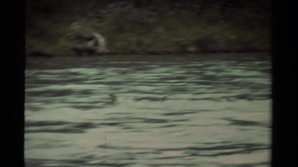 1979 Canadian 8mm frame with small ducks near the grassy far bank while the river current moves across the foreground.