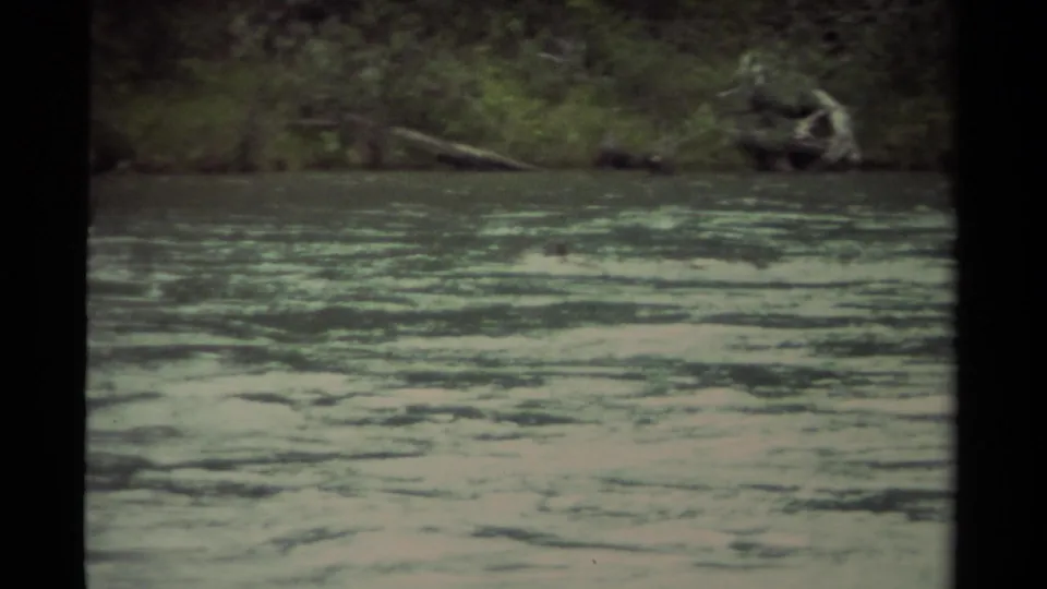1979 Canadian 8mm frame of a mother duck and ducklings near the far riverbank, with strong rippling water across the foreground.