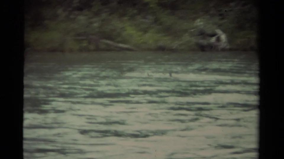 1979 Canadian 8mm frame showing rippling lake water and a soft distant shoreline, with muted color and visible film grain.