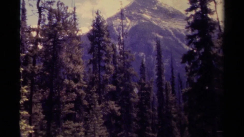 1979 Canada 8mm frame showing evergreen trees and a distant snow-dusted mountain slope in a wilderness landscape.