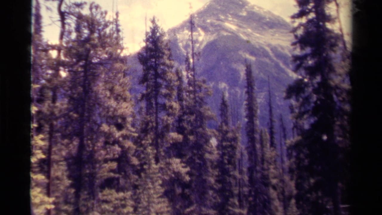 1979 Canadian 8mm frame showing tall conifers before distant snow-dusted mountain slopes.
