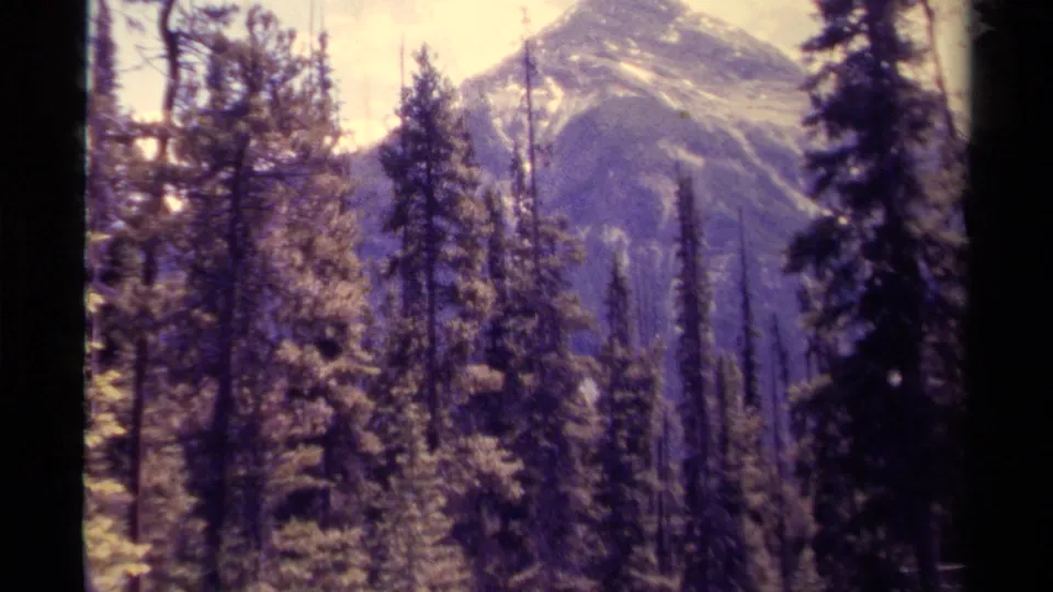 1979 Canadian 8mm frame showing tall conifers before distant snow-dusted mountain slopes.