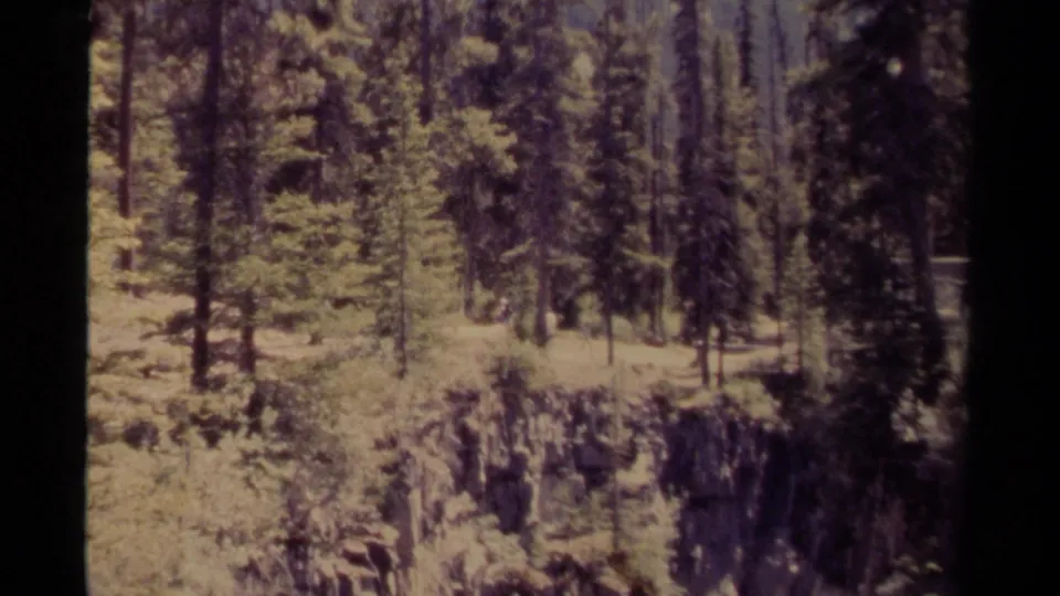 1979 8mm Canada home-movie frame showing evergreen trees and a rugged cliff face in sunlit forest terrain.