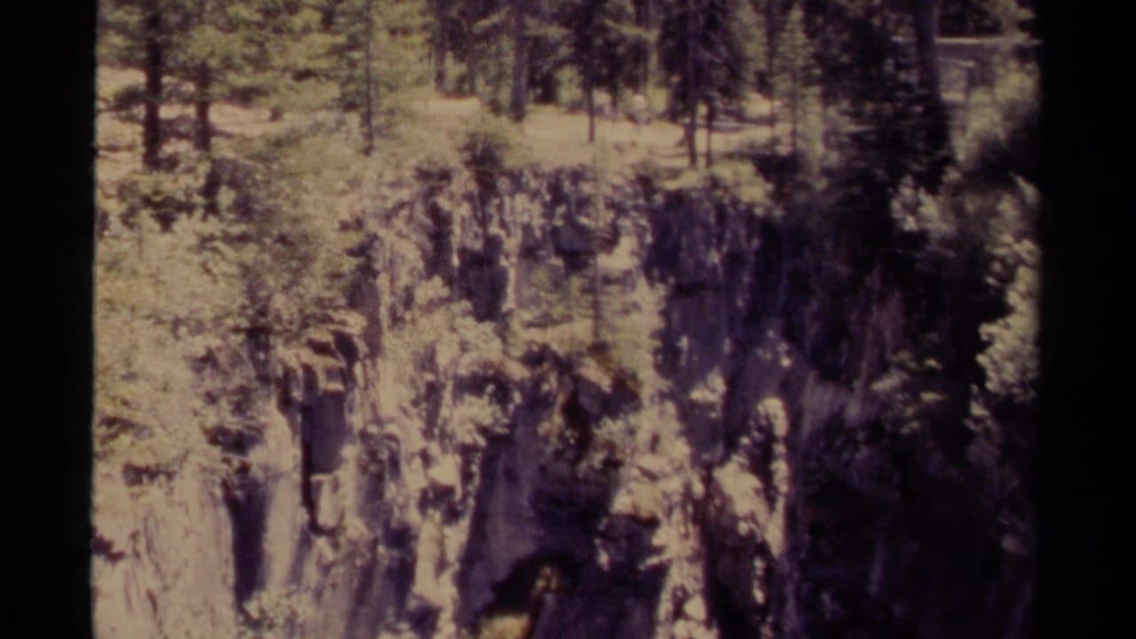 Rocky canyon wall with pine trees and sunlit shrubs at the rim.