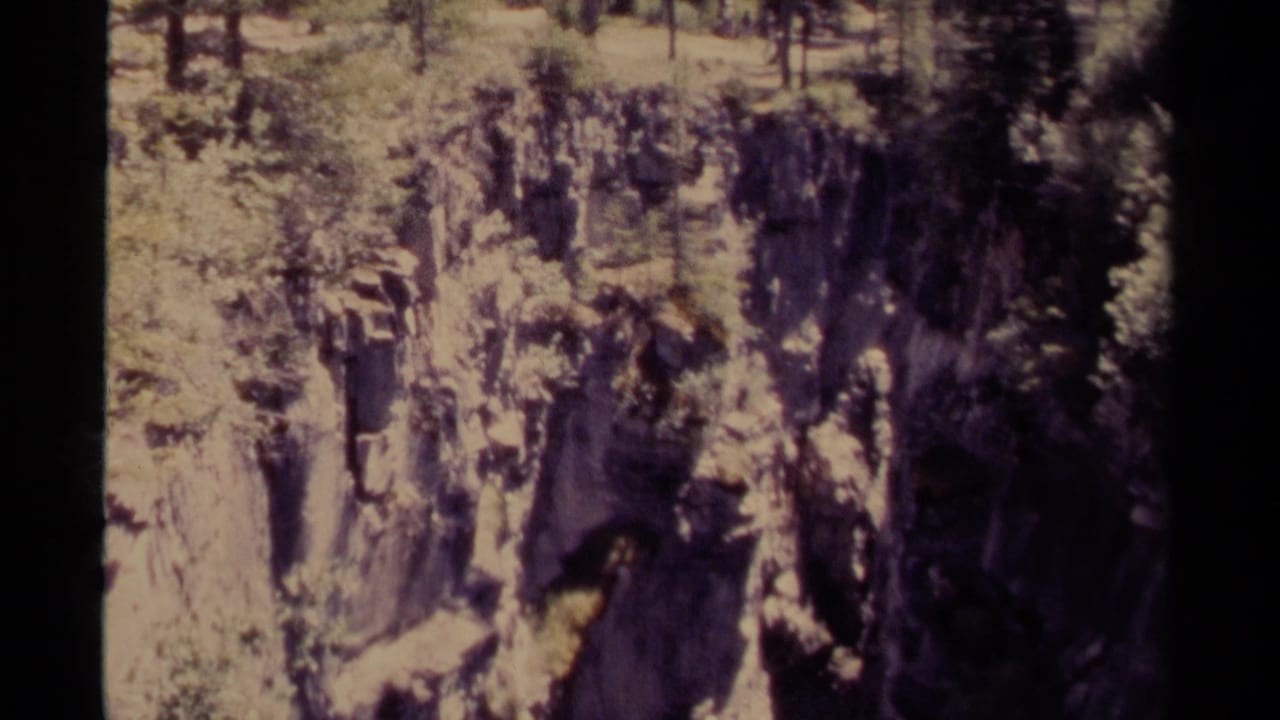 Steep cliff face with pine forest above and dark shadowed rock below.