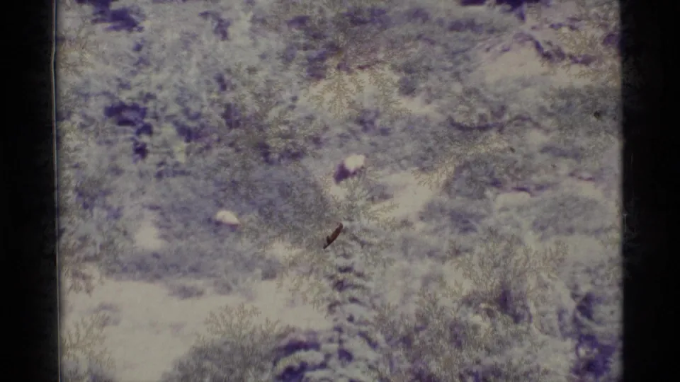 Close 8mm frame of a mottled snowy or frost-covered surface, with heavy grain, scratches, and purple tint.