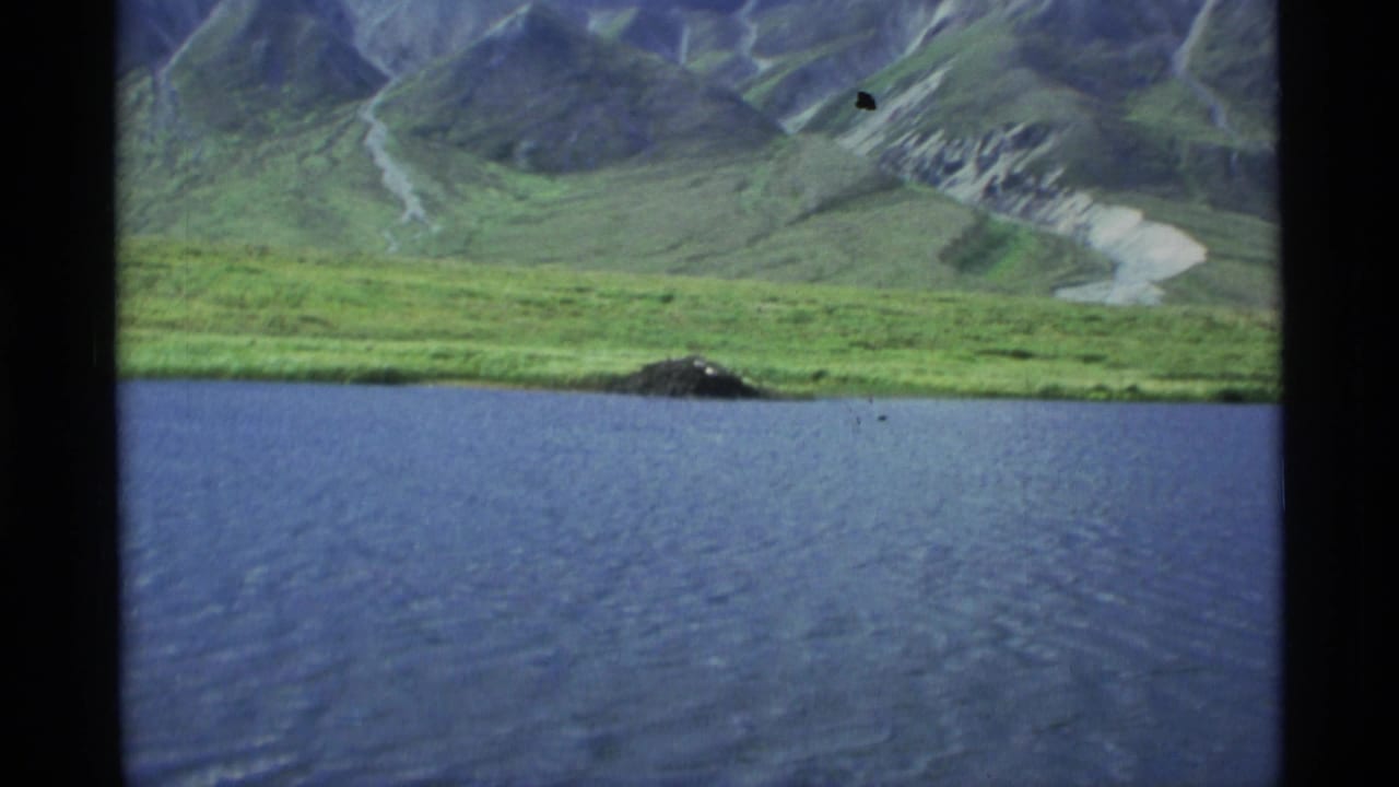 1977 Alaska 8mm frame showing rippled blue lake water, green shoreline, distant mountains, and a small dark mound on the bank.