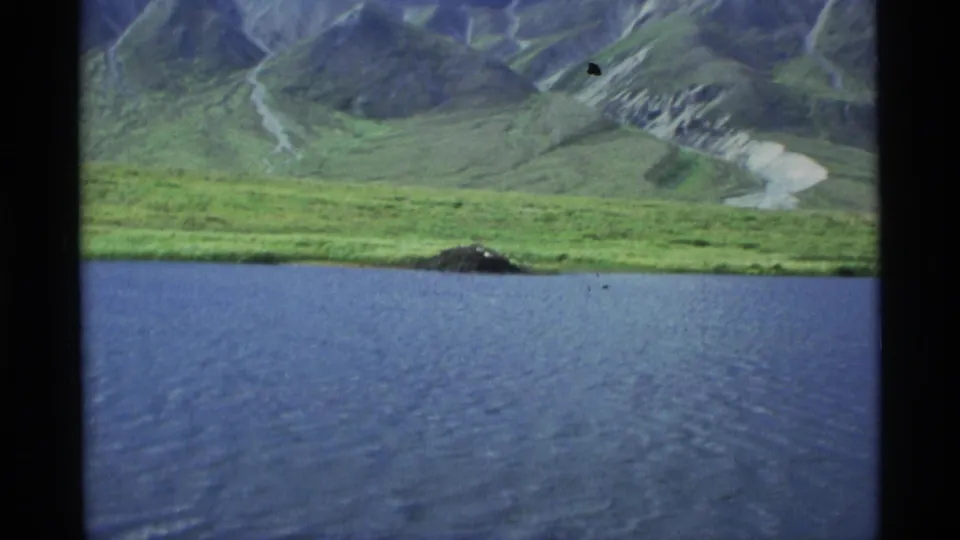 1977 Alaska 8mm frame showing rippled blue lake water, green shoreline, distant mountains, and a small dark mound on the bank.