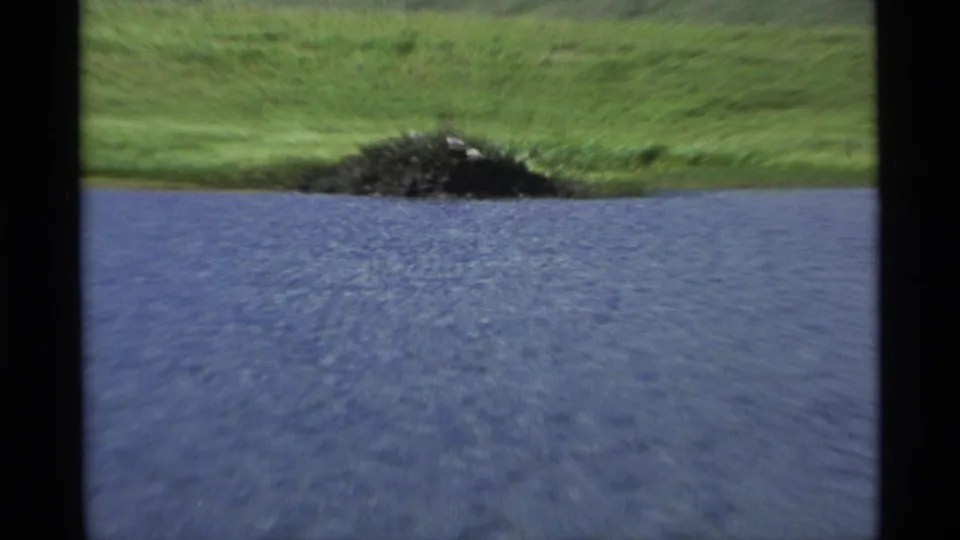1977 Alaska 8mm frame looking across blue lake water to a dark mound set into a bright green grassy bank.