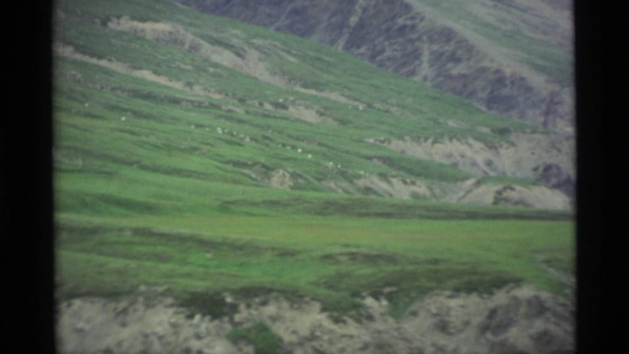 1977 Alaska 8mm frame showing green valley slopes, distant hills, and pale exposed ground under soft overcast light.