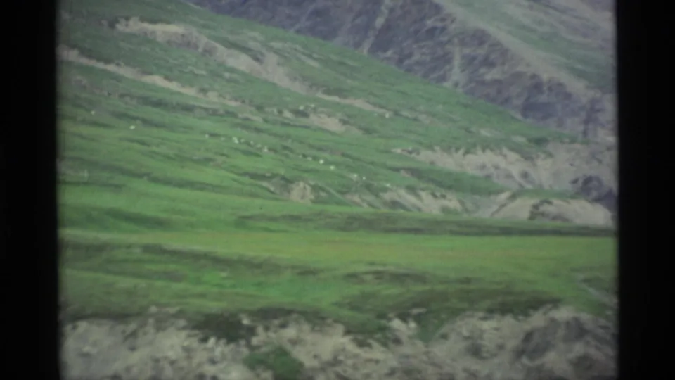 1977 Alaska 8mm frame showing green valley slopes, distant hills, and pale exposed ground under soft overcast light.
