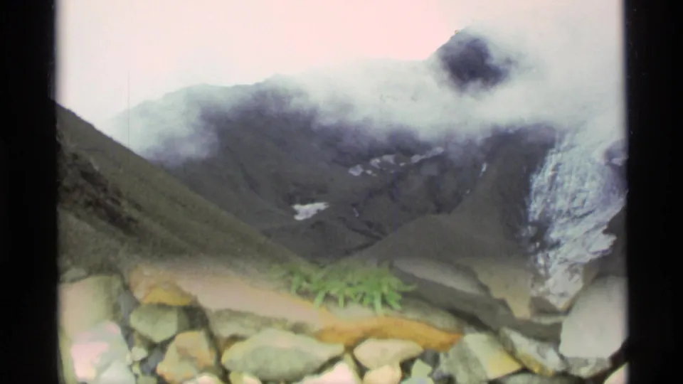 1977 Alaska home-movie frame with a foggy mountain backdrop, gray rocks, and low green alpine plants in the foreground.