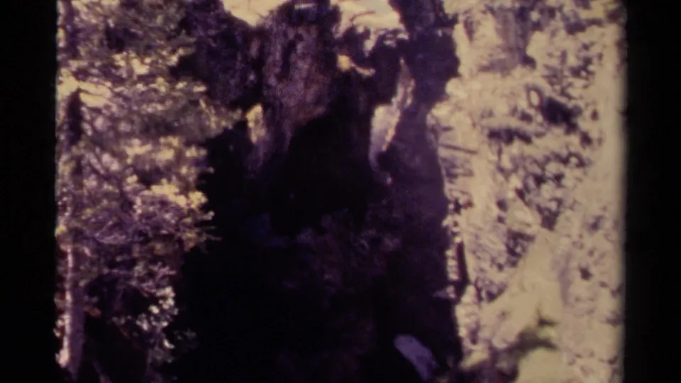 1979 Canada 8mm frame showing a narrow rocky stream or cascade among dark forest foliage and sunlit stone.
