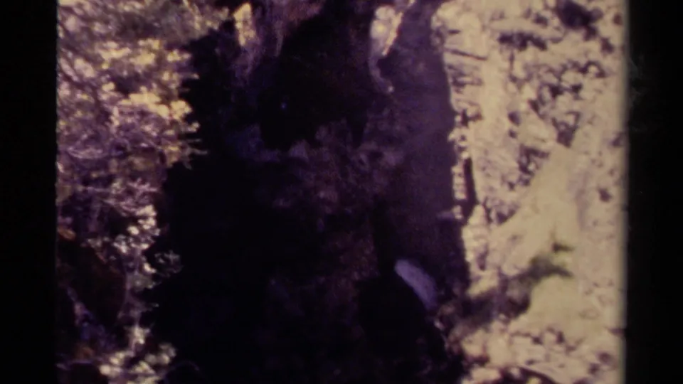 1979 Canada 8mm view of pale water running through a shadowed rocky channel bordered by dense trees.