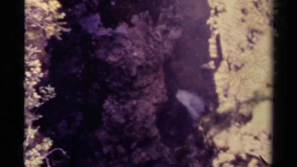 1979 Canada 8mm frame showing a shaded rock face, pale stones, and water within a wooded stream setting.