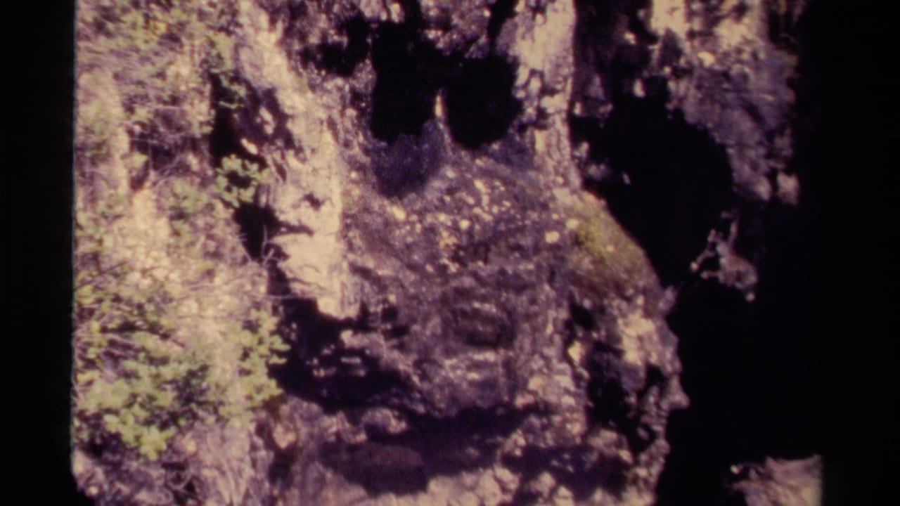 Close view of a rocky cavern entrance with mossy stone and deep shadow.