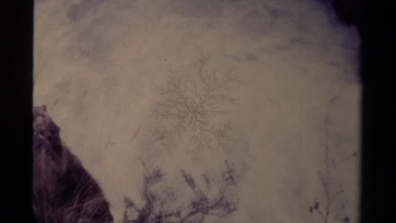 Snow-covered surface beside dark rock, with faint bare branches visible through soft 8mm exposure.