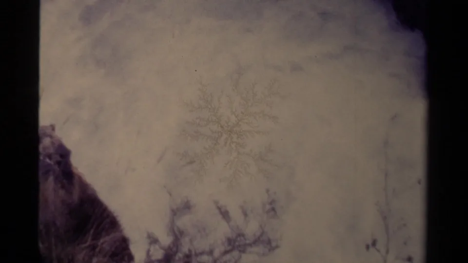 1979 Canadian 8mm frame showing pale snow, a rocky edge, and faint winter branches in a softly exposed home-movie view.