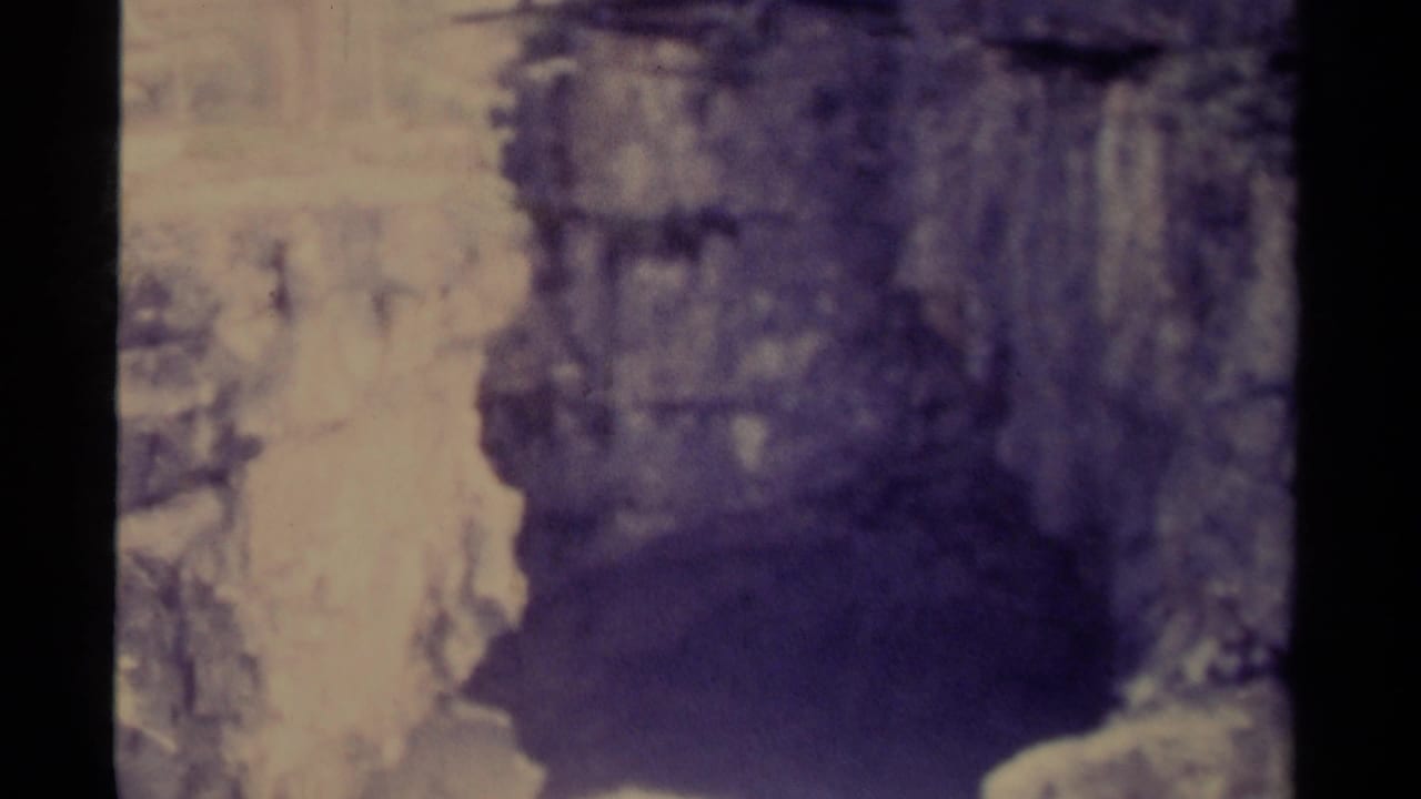Soft 8mm view of a pale rocky ravine beside dark evergreen forest.