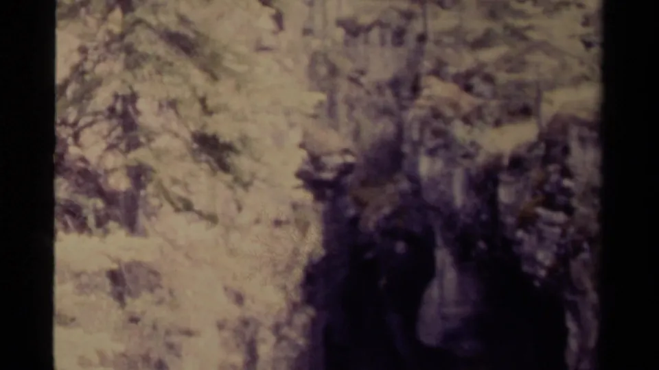 Faded 1979 8mm Canada frame showing a steep wooded ravine with the bridge partly visible above.