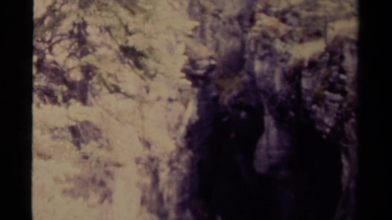 Soft 8mm frame of a dark waterfall dropping through a wooded rocky canyon.
