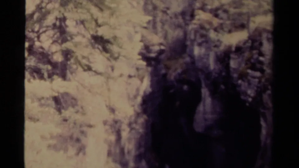 1979 Canadian 8mm home-movie frame showing a shadowed waterfall descending between pale rock and forest growth.