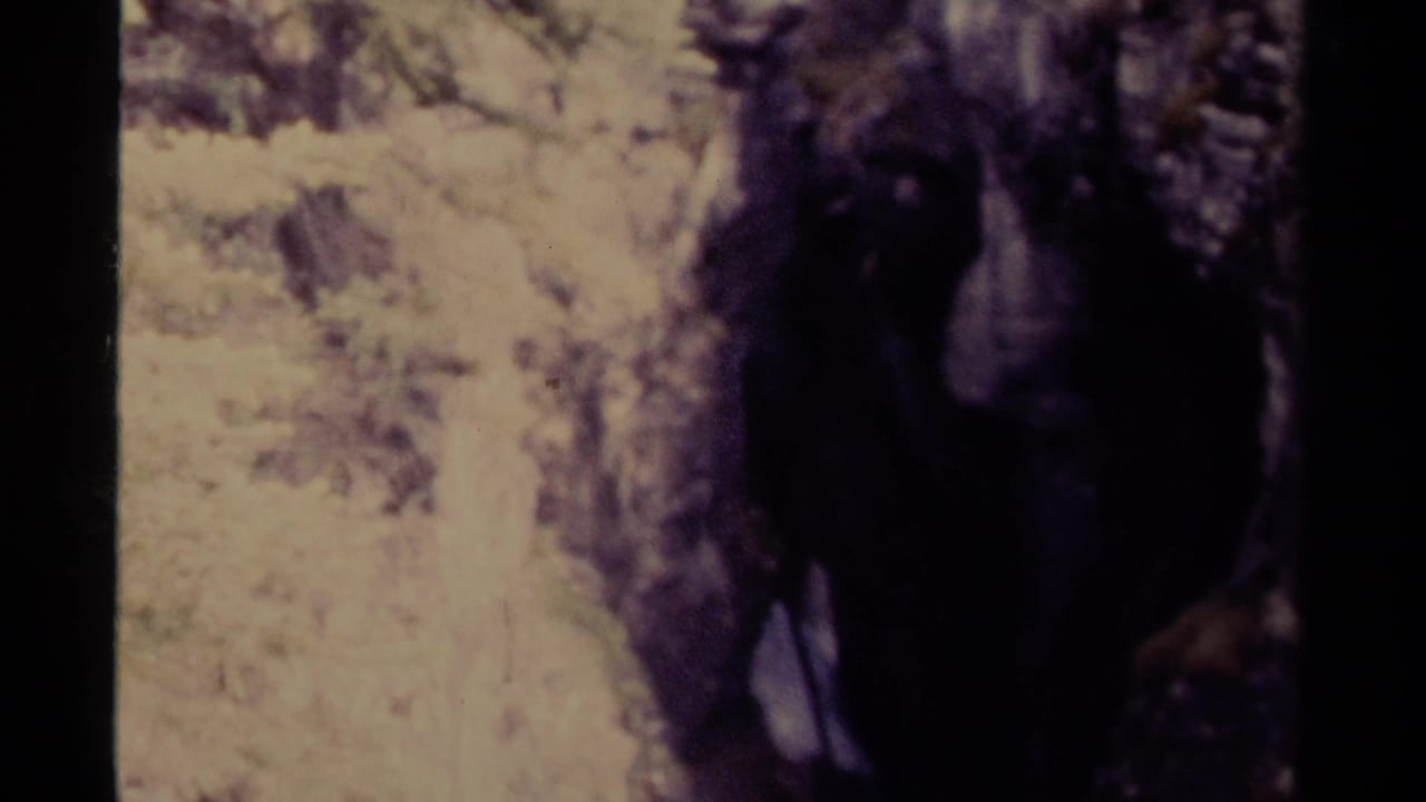1979 Canadian home-movie still with a tall, dark waterfall against pale rock and dense mountain forest.