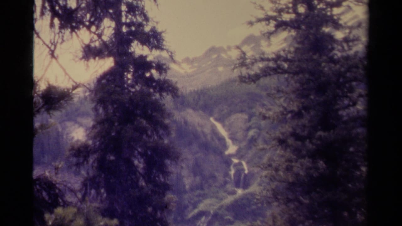 Evergreen trees frame a distant mountain valley with bright water and snow patches.