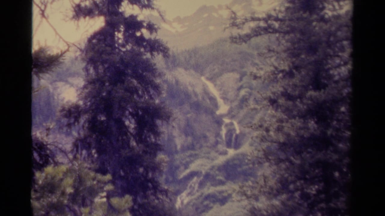 Soft 8mm view from Canada in 1979 showing foreground evergreens and a distant forested slope crossed by bright water.