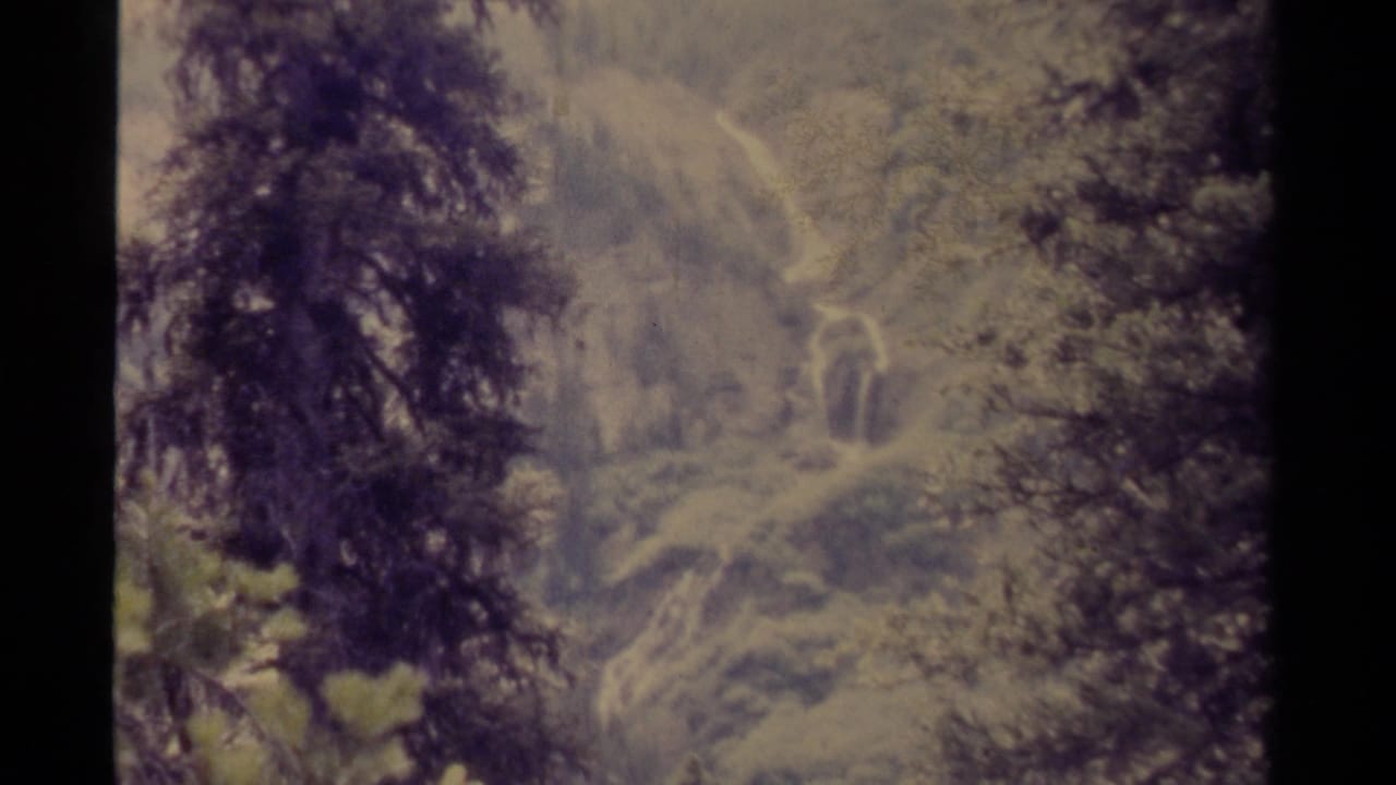 1979 Canadian 8mm view of a hazy wooded slope framed by evergreen branches, with pale rock or water traces in the distance.