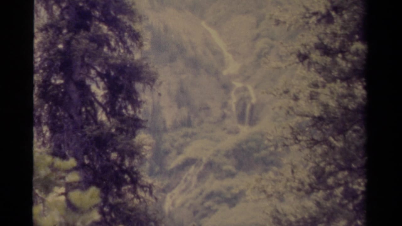 A soft 8mm frame of Canadian woodland, showing a distant slope with pale winding traces and dark trees along the edges.
