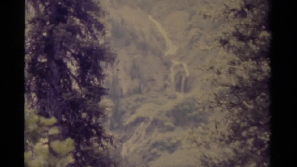 A soft 8mm frame of Canadian woodland, showing a distant slope with pale winding traces and dark trees along the edges.