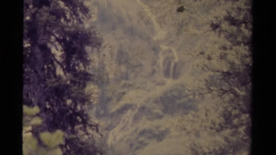 Canadian forest vista on aged 8mm film, with evergreen branches in the foreground and a hazy rocky or wooded slope beyond.
