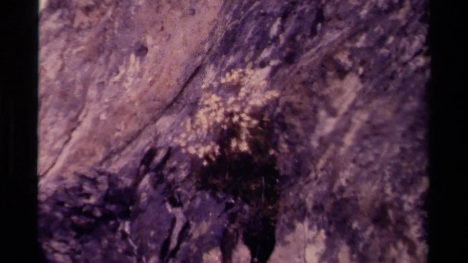 1979 Canada home-movie frame focused on pale alpine flowers and low plants against rough, slanted rock terrain.